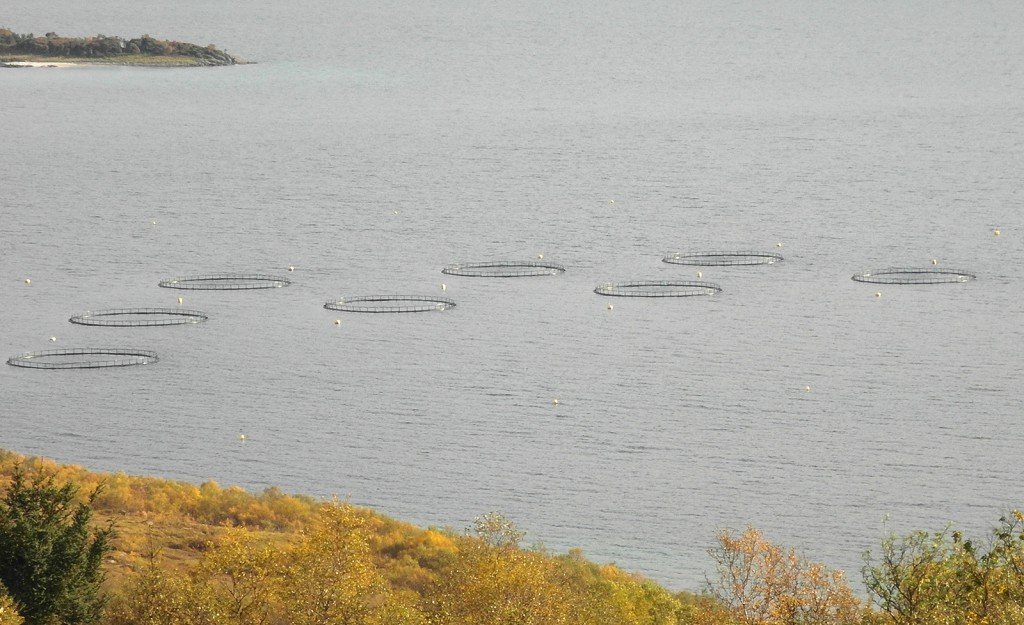 Lachsfarmen in Norwegen Norwegenstube