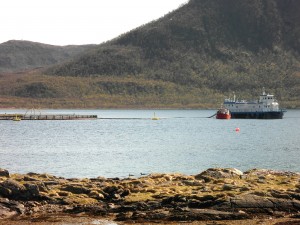 Lachsfarmen: Anlage im Lifjord (Vesterålen)